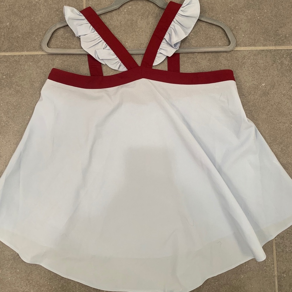 Light Blue/Maroon Blouse